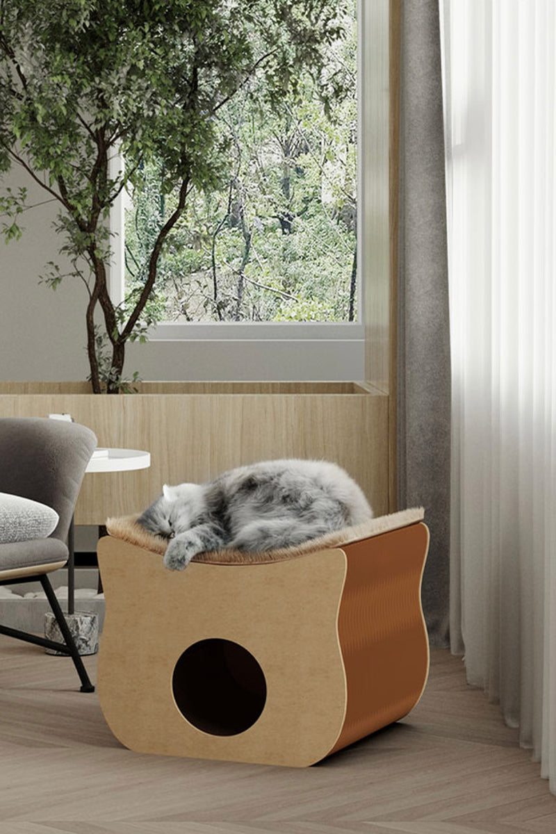 Taline Cat Home Taline Cat Home